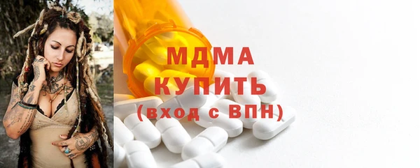 хмурый Аркадак