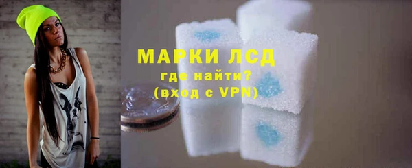 хмурый Аркадак