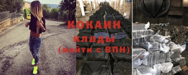 хмурый Аркадак
