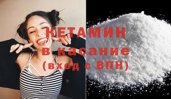 хмурый Аркадак