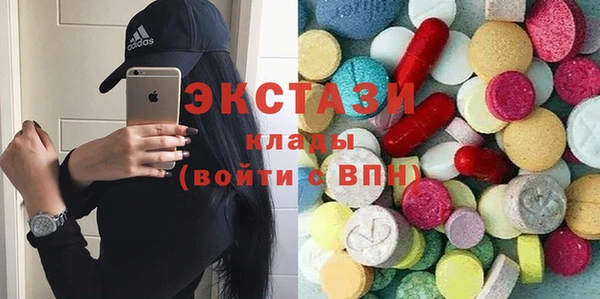 хмурый Аркадак