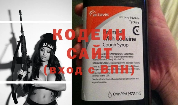хмурый Аркадак