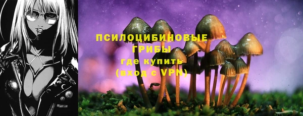 мяу мяу мука Арсеньев