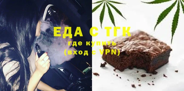 хмурый Аркадак