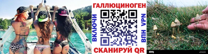 кракен ONION  купить наркотик  Солигалич  Галлюциногенные грибы Psilocybine cubensis 